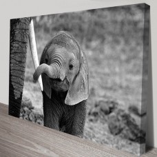 Elephant Baby Canvas Print Wall Art Hanging Giclee Framed Decor BIG 91x61cm   232440701957